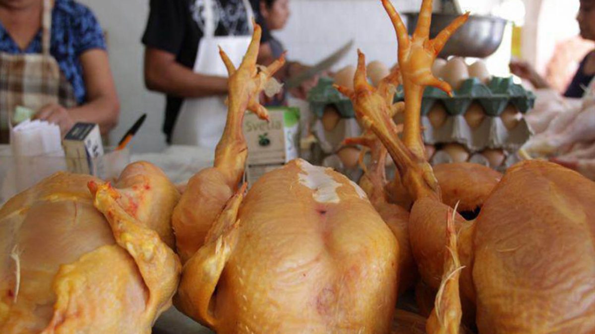 Incrementa precio de la gallina en el mercado de Villahermosa, anuncian locatarios