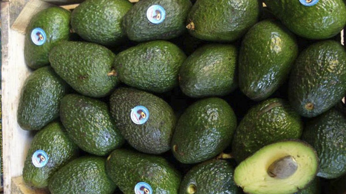 Baja el precio del aguacate