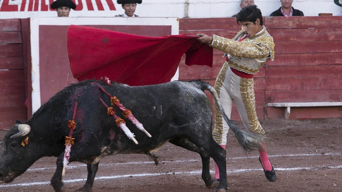 Prohíben peleas de gallos y corridas de toros en Cancún
