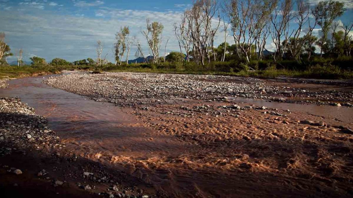 Piden retirar concesión a Grupo México por ecocidios en Sonora