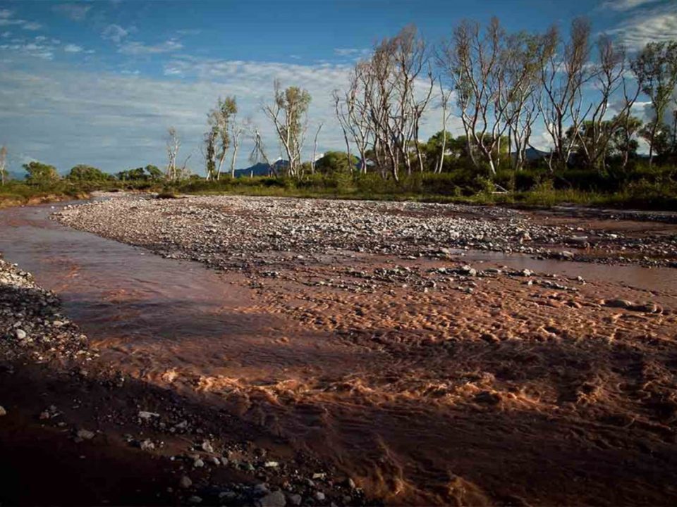 Piden retirar concesión a Grupo México por ecocidios en Sonora