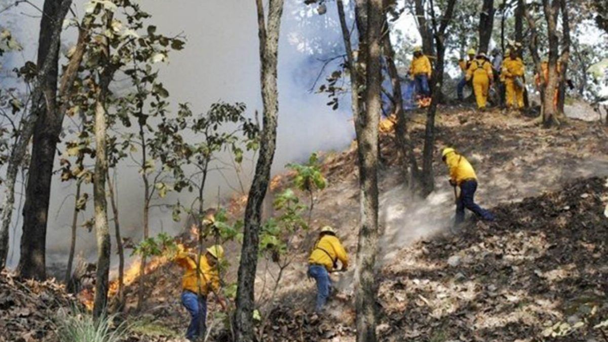 Sigue activo incendio en biosfera de Sian Ka´an en Quintana Roo