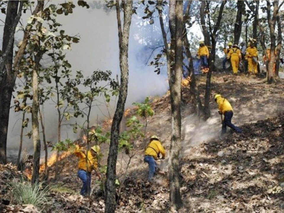 Sigue activo incendio en biosfera de Sian Ka´an en Quintana Roo