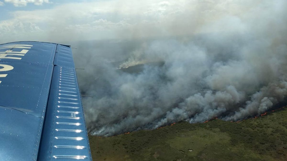 Controlan 45% de incendio en reserva Sian Ka’an, QRoo