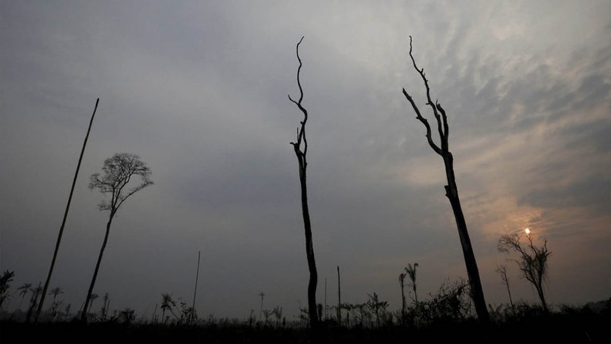 Donará LVMH 10 millones de euros para combatir incendios en el Amazonas