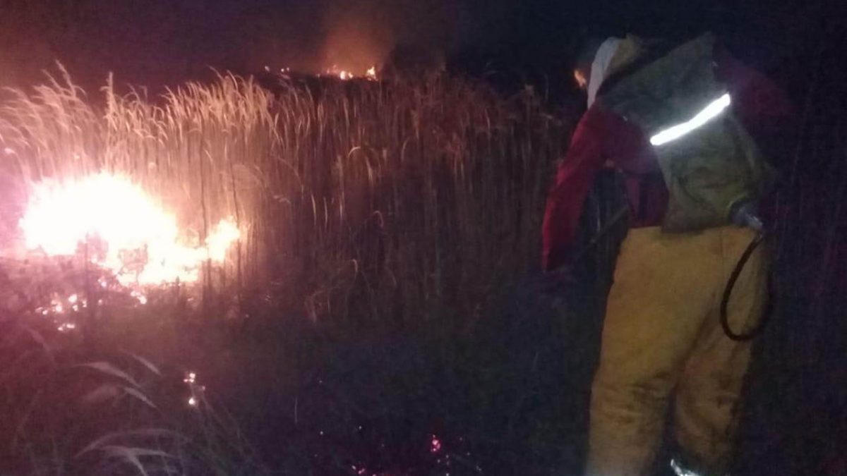 Controla personal del IPCET incendio cerca de playa Miramar