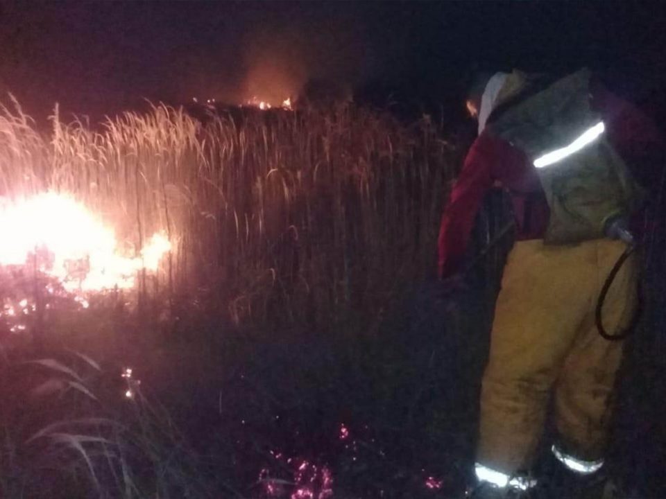 Controla personal del IPCET incendio cerca de playa Miramar